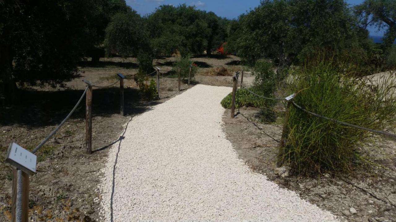 Serra Niedda Resort & Agriturismo 소르소 외부 사진