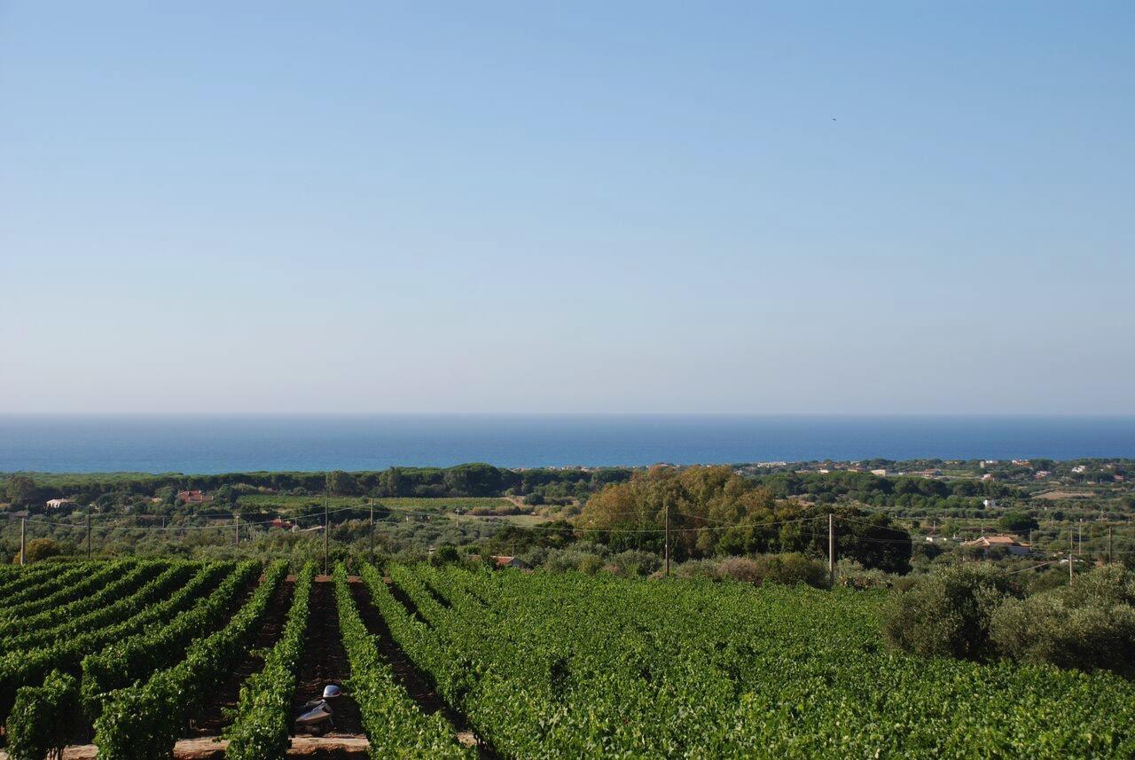 Serra Niedda Resort & Agriturismo 소르소 외부 사진