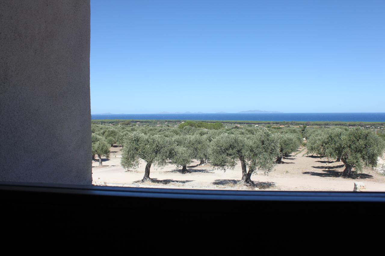 Serra Niedda Resort & Agriturismo 소르소 외부 사진