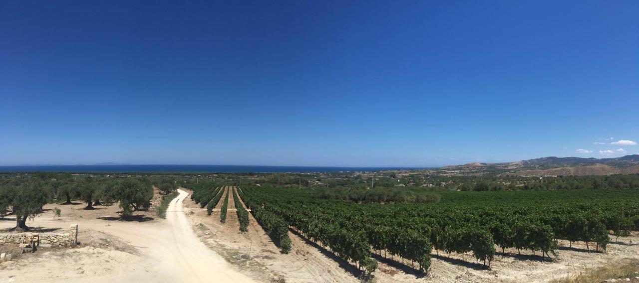Serra Niedda Resort & Agriturismo 소르소 외부 사진
