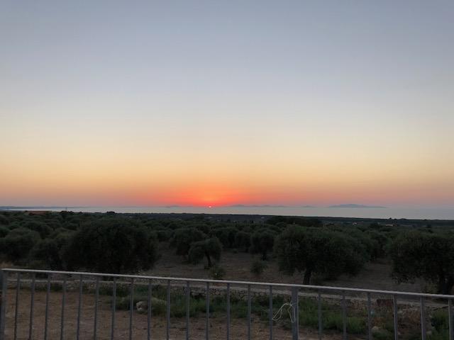 Serra Niedda Resort & Agriturismo 소르소 외부 사진