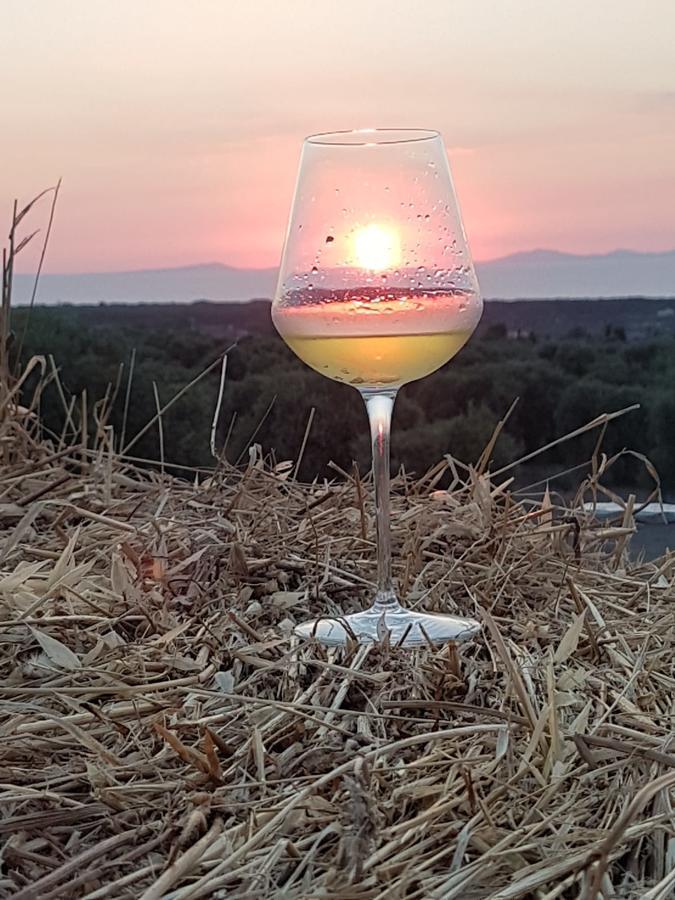 Serra Niedda Resort & Agriturismo 소르소 외부 사진
